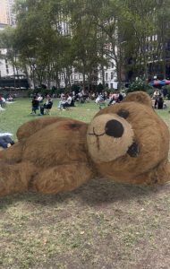 Teddy Bear from War-Torn Gaza